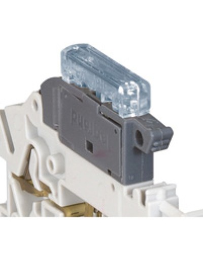 Индикатор срабатывания Legrand 037525 в Сыктывкаре Аксессуары для кабель-канала Pintop.ru